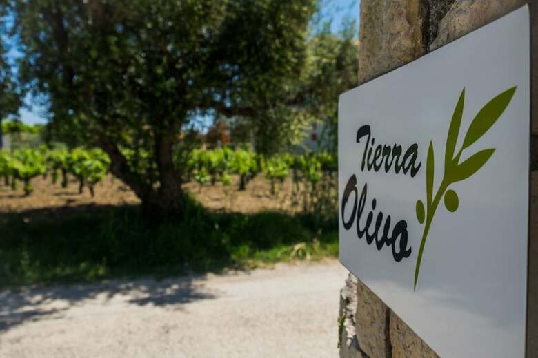 Villa Tierra Olivo