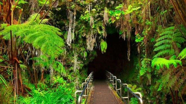 Bed & Breakfast Volcano Park Rentals