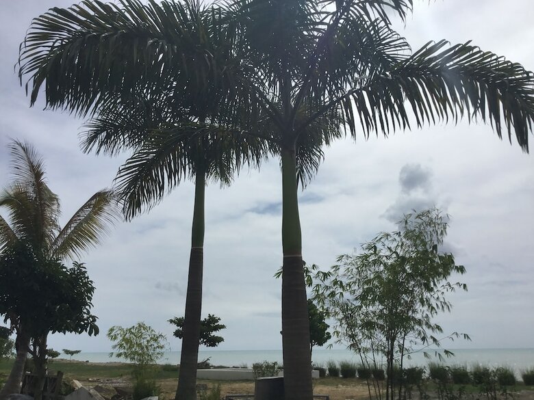 Hotel Stoner's Beach Resort