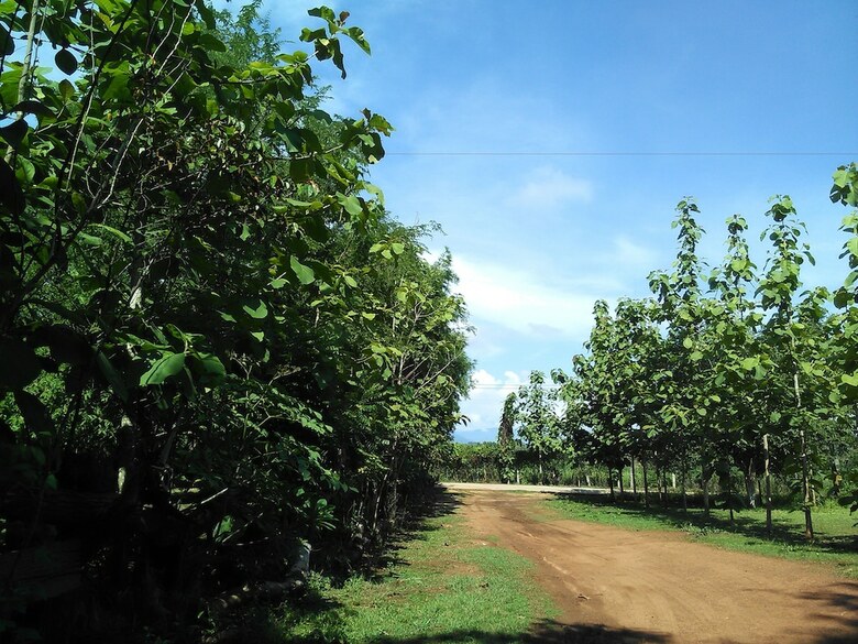 Hotel Loei Airport Homestay