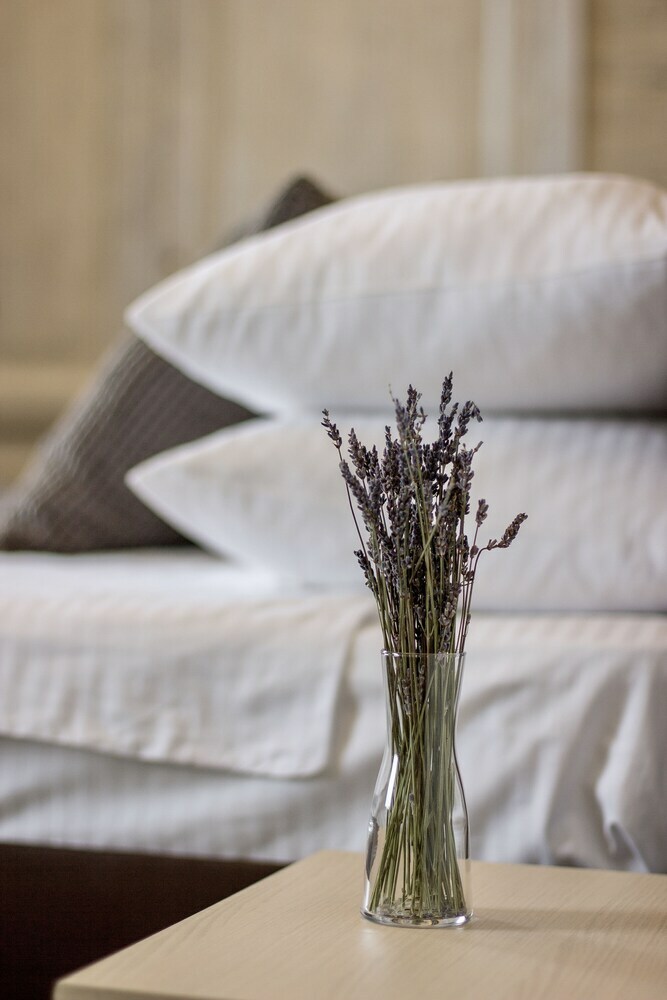 Le Diaghilev Boutique Hotel