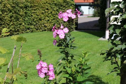 Hostal Hotel Heike Garni Nichtraucherhotel