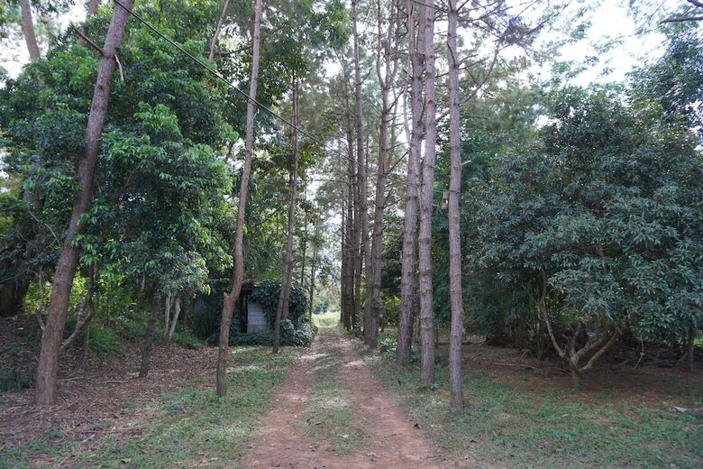 Hotel Sonseesaed Farm @ Phurua