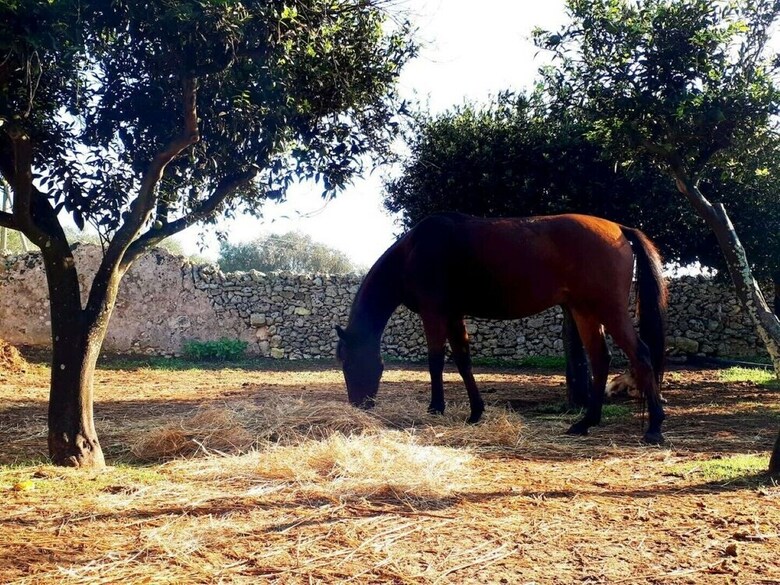 Agroturismo Masseria Costarella