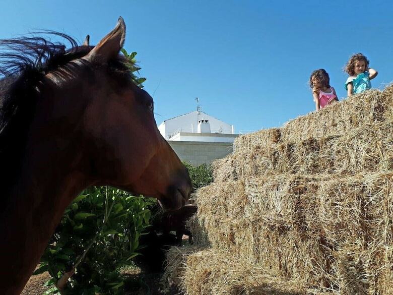 Agroturismo Masseria Costarella