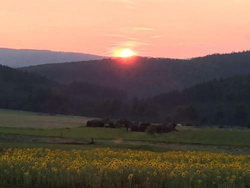 Apartamentos Ferienwohnung Sauerlandblick