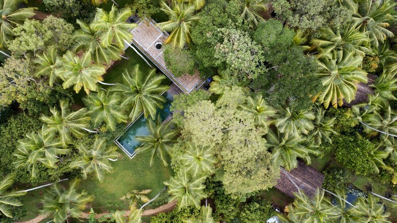 Apartamento Kaju Green Eco Lodges