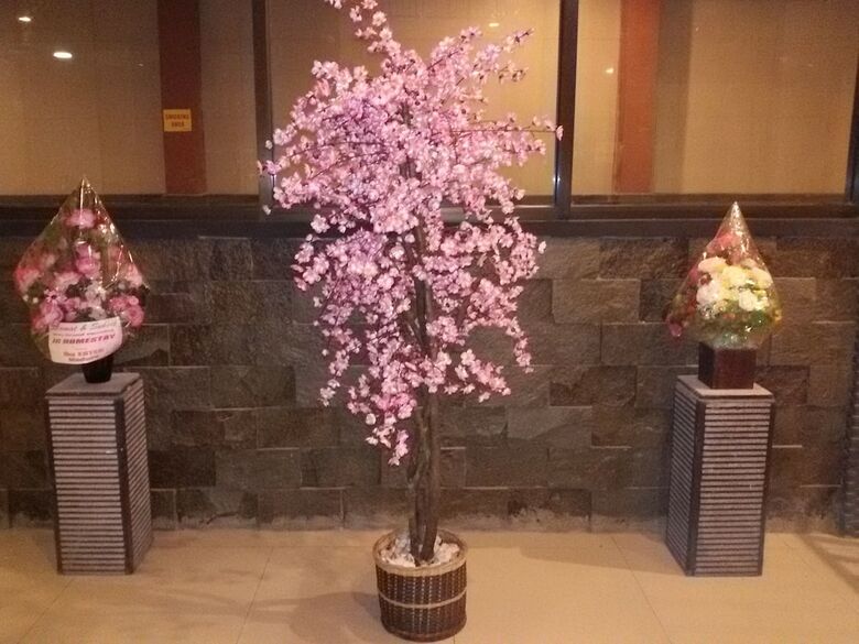 Hotel Jc Homestay Jember