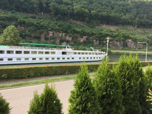 Apartamentos Romantisches Hirschhorn Am Neckar