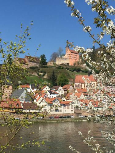 Apartamentos Romantisches Hirschhorn Am Neckar