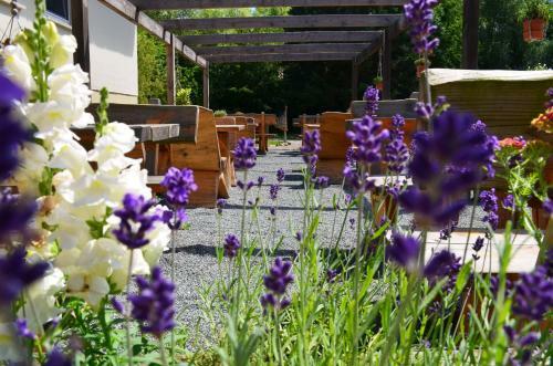 Lodge Seaside Boutique Hotel