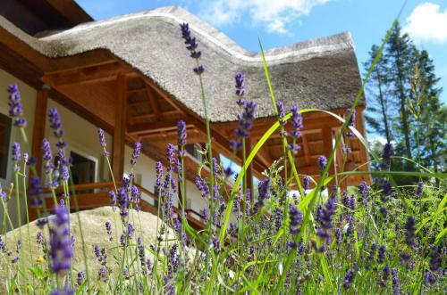 Lodge Seaside Boutique Hotel