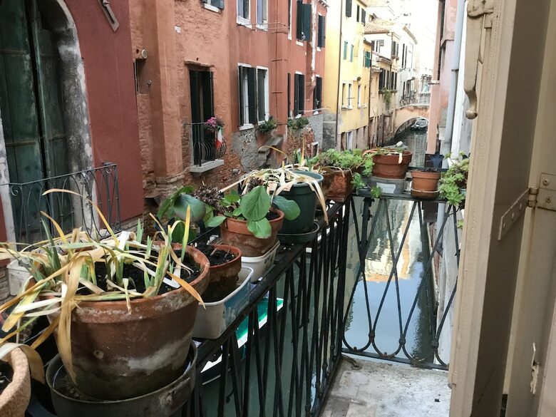Hotel Venice Sun Apartment And Rooms