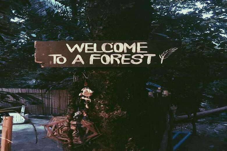 Hostal A Forest Story Hostel - Adults Only