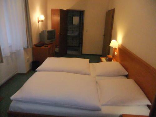 Hostal Gasthof Rotes Ro�