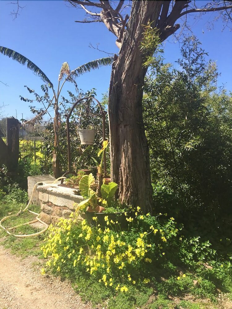 Agroturismo Villa Nicetta