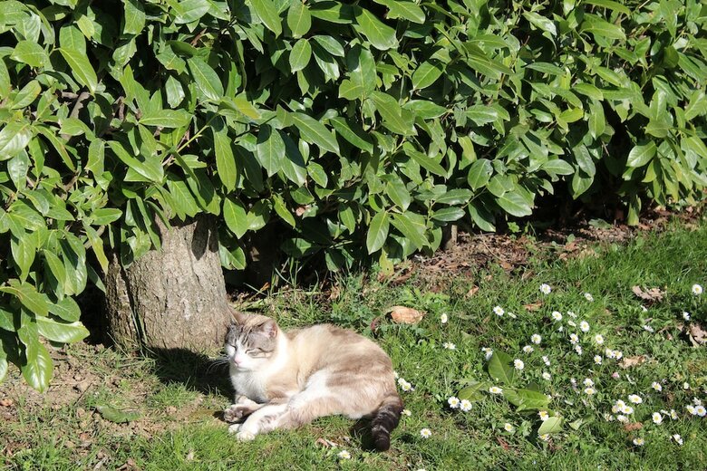 Agroturismo Fattoria Di Rigone