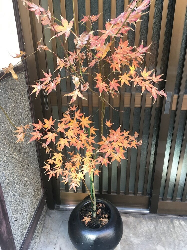 Hotel Kyoto Guest House Waon