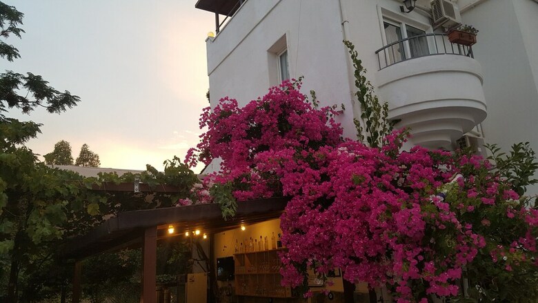 Bitez Hotel Seaside