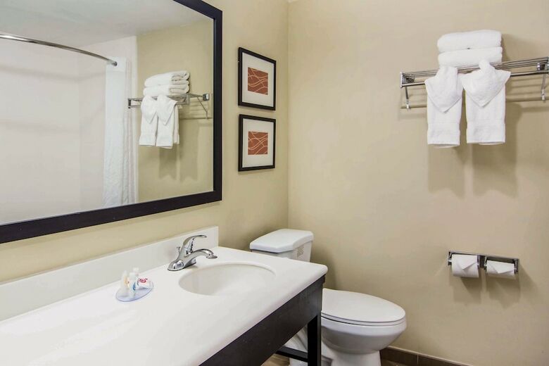 Hotel Comfort Inn Atlanta Downtown South