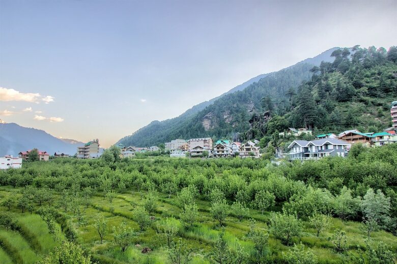 Mango Hotels Manali