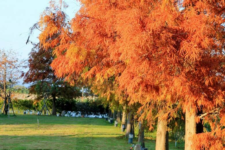 Bed & Breakfast Sigma Castle