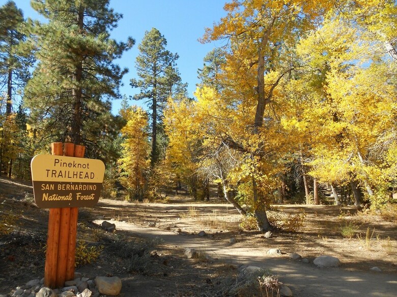 Avalon