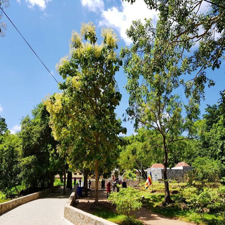 Hotel Alas Garden