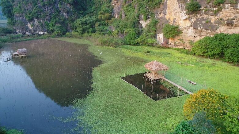 Hotel Trang An River View Homestay