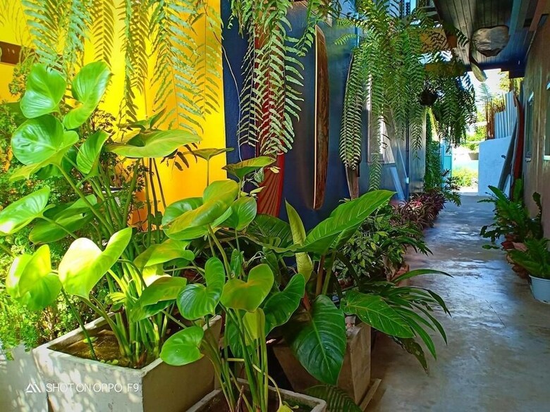 Hotel Surf House Hua Hin