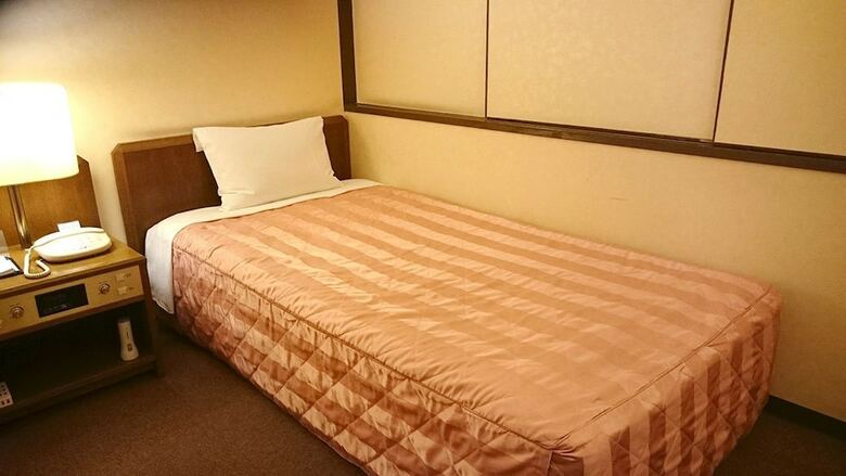 Hotel City Pension Le Liondor