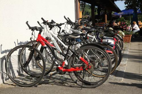 Hotel Gasthof Zum B�ckerwirt