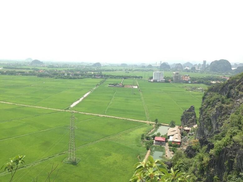 Hotel Tam Coc Homestay