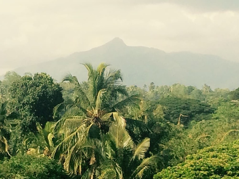 Hotel Mount River View