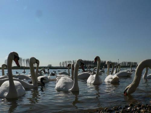 Hostal Rheinriver Guesthouse - Art Hotel