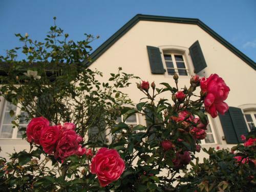 Hostal Rheinriver Guesthouse - Art Hotel