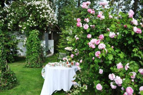 Landhotel Zum Rosenhof