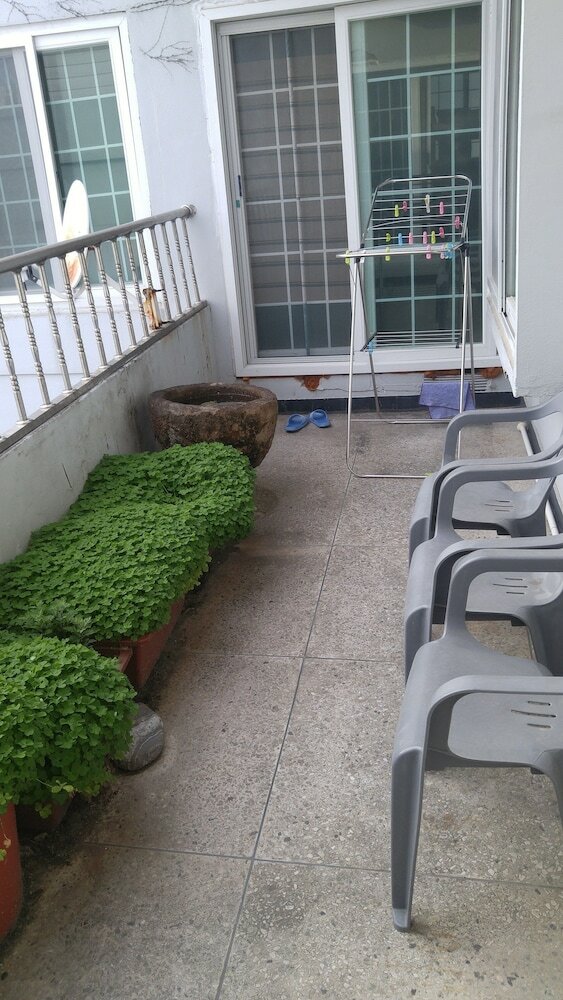 Hostal Masan - Guest House Rhizome - Hostel