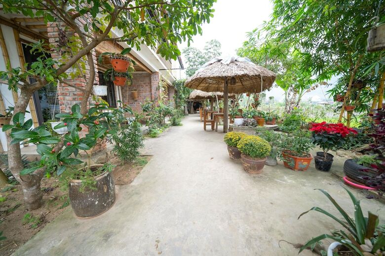 Hotel Jungle Boss Homestay