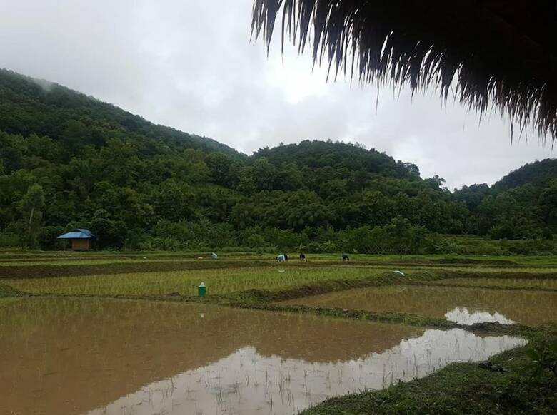 Hotel Peisanae Faikeng Resort