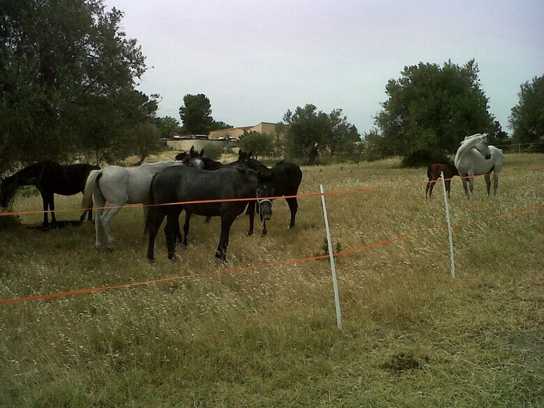 Agroturismo Terre Di Vendicari