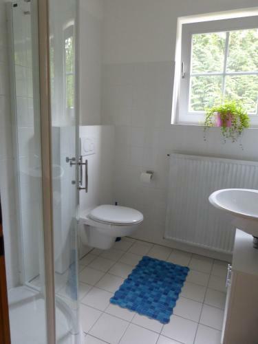 Apartamento G�stehaus Amrumer 36