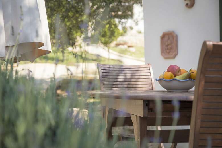 Agroturismo Tenuta Olive Alive