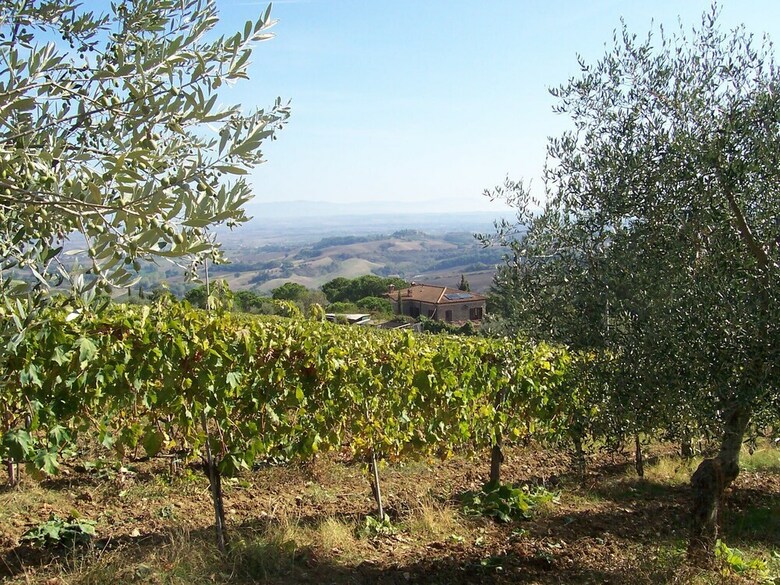 Agroturismo Agriturismo La Vigna
