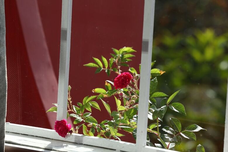 Hotel Sol House Dalat Homestay