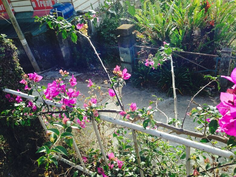 Hotel Sol House Dalat Homestay