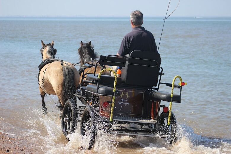 Norfolk Coast B&B Cottages And Camping