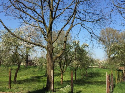 Hostal G�stehaus Kersting