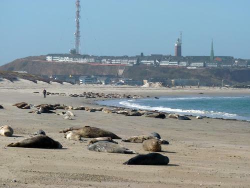 Apartamento Appartmenthaus Silberm�we