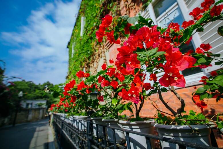 Posada Xiamen Blossom Resort